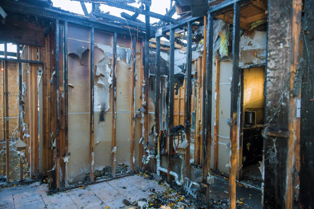 Professional Fire Damage Removal technician working in Landrum, SC